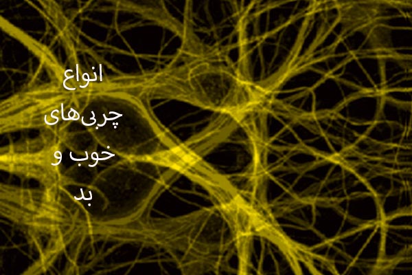انواع چربی ها